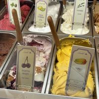 Options (see the ones that say vegan)  at Levendula Fagylaltozó in Szentendre