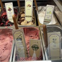 Options (see the ones that say vegan)  at Levendula Fagylaltozó in Szentendre