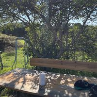   at Algarvegan Hummus Bar in Vila Do Bispo