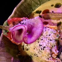 Gevulde puntpaprika  at Ministerie van Geluk in Zoetermeer