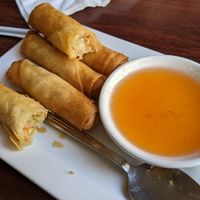 Thai Spring Rolls at Thai@Indiana in Indiana