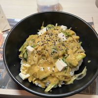 Vegan Karee & Tofu   at Udon in Lleida