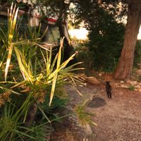 Outside at Centro Tinkuy - Gracias a la Vida Association in Sintra