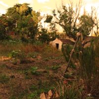 Part of the vegetable garden at Centro Tinkuy - Gracias a la Vida Association in Sintra