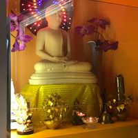  at Rice & Curry in Senigallia