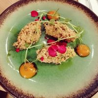 Plant based tuna as a starter at Zdrojowa in Gdansk