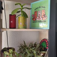 Decoration at Vegansté in Providencia