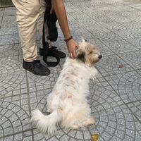   at The Garden Cafe & Vegetarian Food in Hue