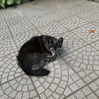   at The Garden Cafe & Vegetarian Food in Hue