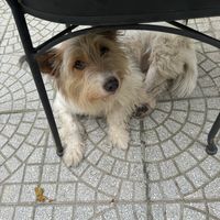   at The Garden Cafe & Vegetarian Food in Hue