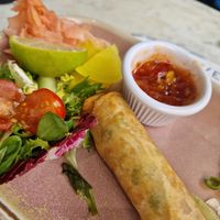 Spring rolls at Meat The Vegans in North West London