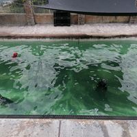 at SEA LIFE Trust Cornish Seal Sanctuary in Helston
