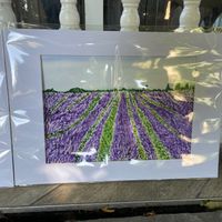 Art we made at the watercolour class at Lucknam Park Hotel & Spa in Chippenham