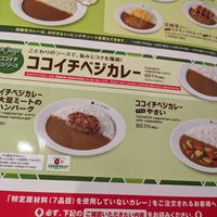 Vegan options at CoCo Ichibanya in Urasoe