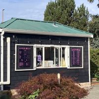   at Mystic Brew in Bremerton