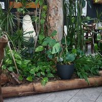  at Vinterhagen Restaurant & Peisen Bar in Longyearbyen