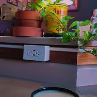 Chai & café at Sullivan Taylor Coffee House in Macomb