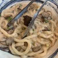 Udon noodles  at Planta Cocina - Marina del Rey in Marina Del Rey