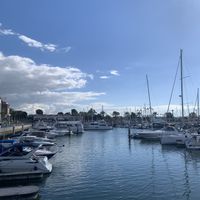   at Planta Cocina - Marina del Rey in Marina Del Rey