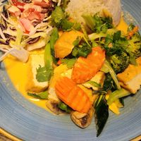 Tofu in Kokos-Curry-Sauce mit Reis at Chiko Restaurant in Reutlingen