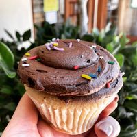 Vegan choco at Icing on the Cake in Los Gatos