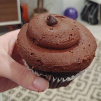 $4.25 Vegan, Wheat Free Cupcake at Icing on the Cake in Los Gatos