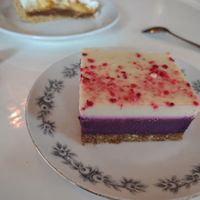 Berries raw vegan slice at Café Lief  in Haarlem