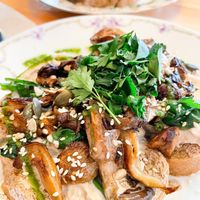  at Café Lief  in Haarlem