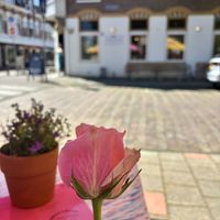 Love lief   at Café Lief  in Haarlem