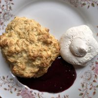 Very good scone with whipped cream and jam  at Café Lief  in Haarlem