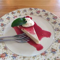 Cheesecake at Café Lief  in Haarlem
