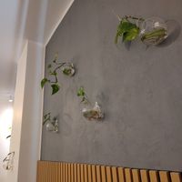 Ableger als Wanddeko at Glacë Manufaktur in Trier