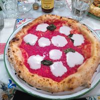 Pizza margharita vegan at Pizzium in Bologna