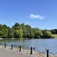 Lake close to Prism Coffee, Gateshead  at Prism Coffee in Gateshead