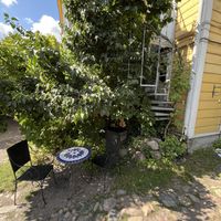 Backyard   at Tea and Coffee House Helmi in Porvoo