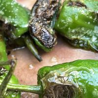 Pimientos de Padron  at Rossio Tapas e Vinho in Hamburg