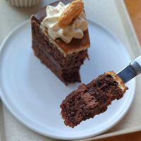 Lotus cookie cake - close-up #Veganuary at Nono Shop & Cafe Seoul in Seoul