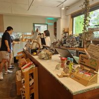  at Nono Shop & Cafe Seoul in Seoul