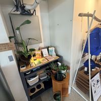   at Nono Shop & Cafe Seoul in Seoul