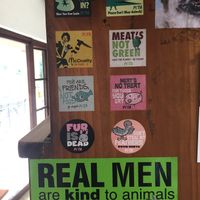 Slogans in Blissful Belly at Blissful Belly Vegetarian Cuisine in Quezon City