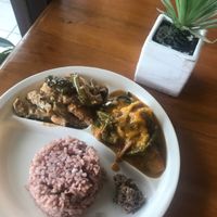 Eggplant-tofu in peanut sauce, Kare-Kare (Veg stew), Veg Bagoong (‘shrimp’ paste), Brown rice  at Blissful Belly Vegetarian Cuisine in Quezon City
