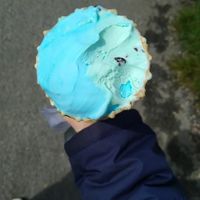Tropical and mint chocolate chip  at Mr B's Ice Cream in Hayle