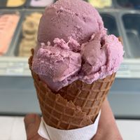   at Heaven Creamery in Centennial