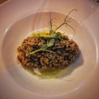 Risotto at Darwins in Dublin