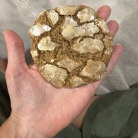 Ginger cookiees  at Nanita in Oaxaca