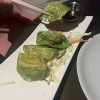 Dumplings entree…fantástic  at Spicy Moon  - Bowery in New York City