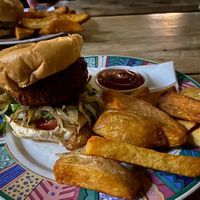 Burger and fries (from November 2024)  at The Free House Pub in Nelson