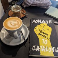 Oat flat white   at Falo Coffee Brewers in Takayama