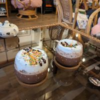  at Canterbury Tails Cat Cafe in Canterbury