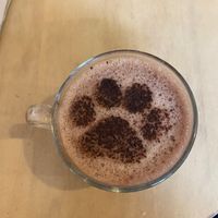  at Canterbury Tails Cat Cafe in Canterbury